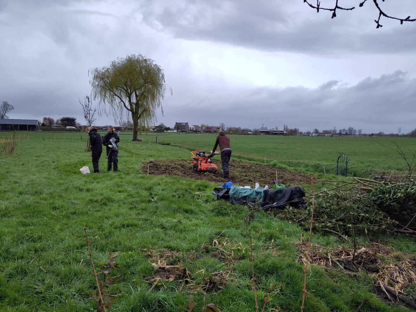Aanplant proefveld in Weesp voor PFAS bodemonderzoek