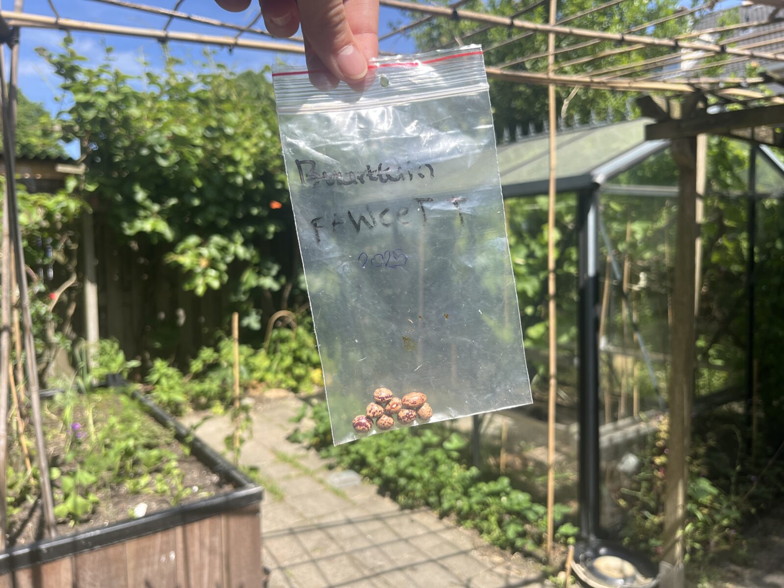 Fawcett bonen met de tuin van Gerda op de achtergrond