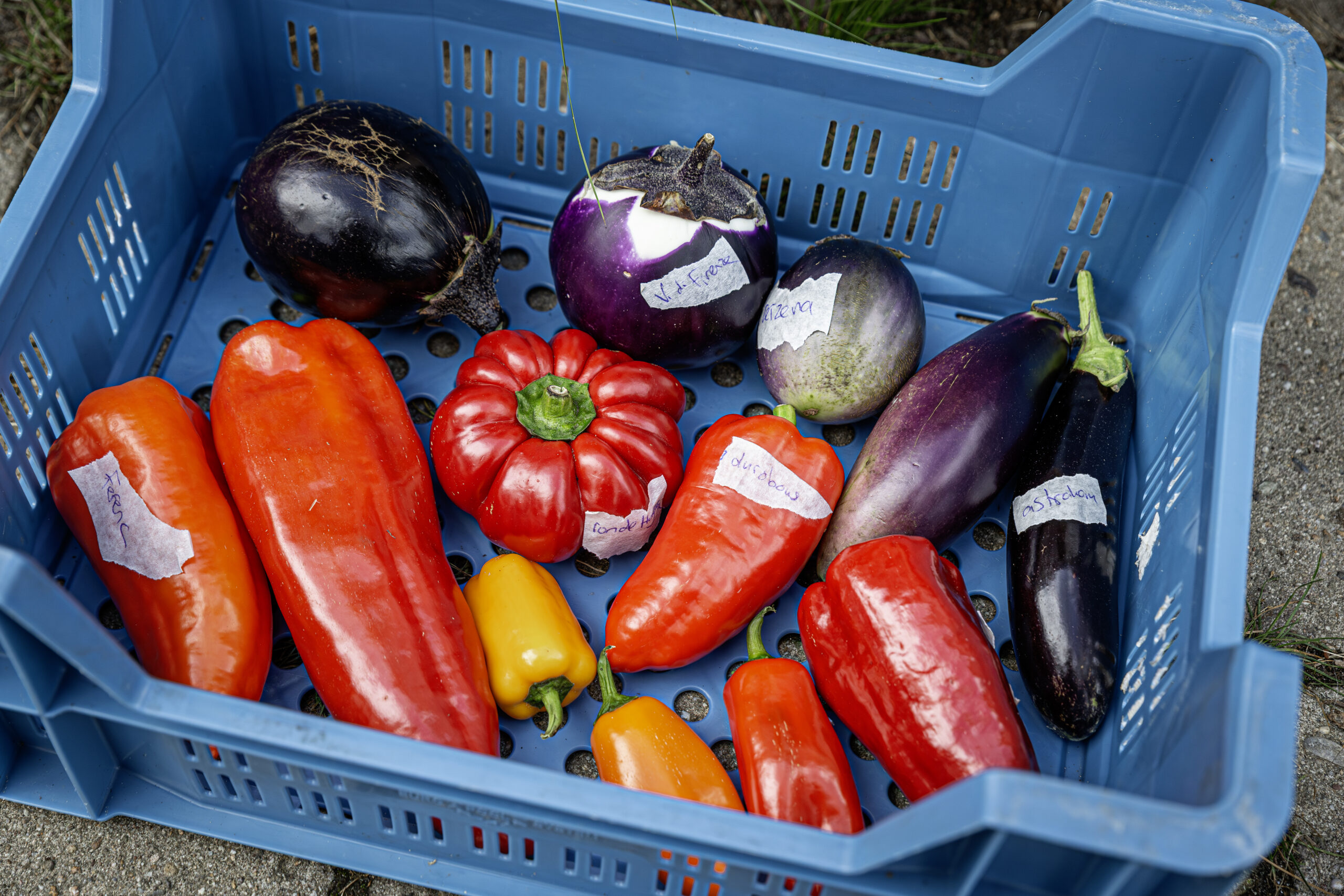 Caring Farmers - Samen op weg naar natuurinclusieve kringlooplandbouw
