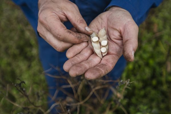 Bijzonder Brabant_ Caring farmer@Gabriela Hengeveld_1