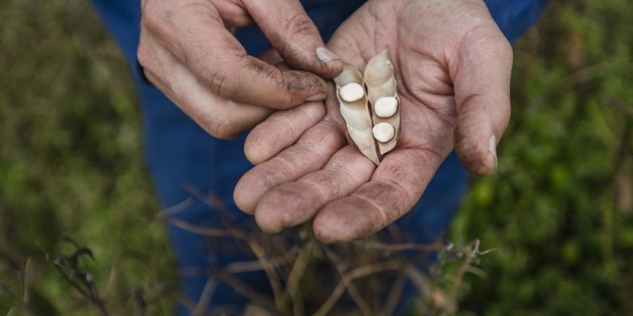 Bijzonder Brabant_ Caring farmer@Gabriela Hengeveld_1