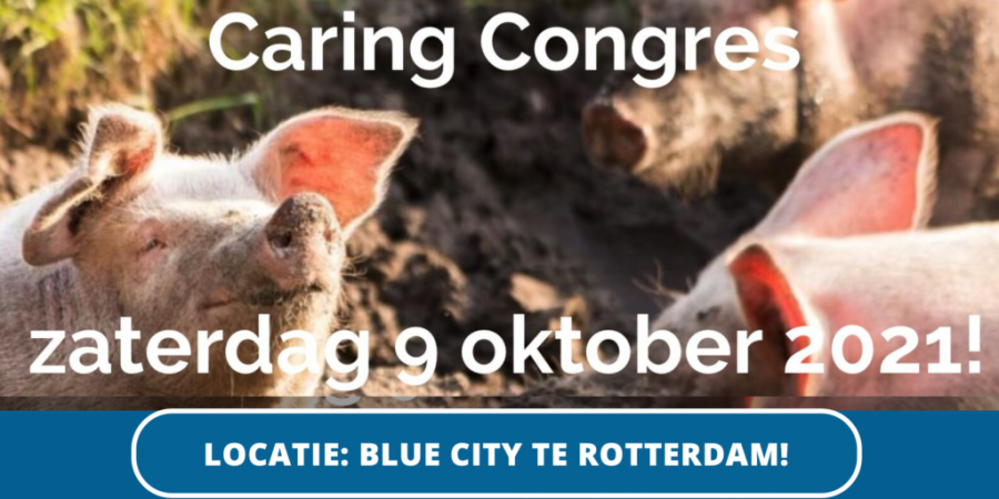 Caring Congres Caring Congres