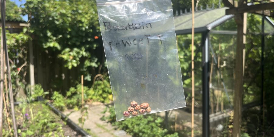 Fawcett bonen met de tuin van Gerda op de achtergrond