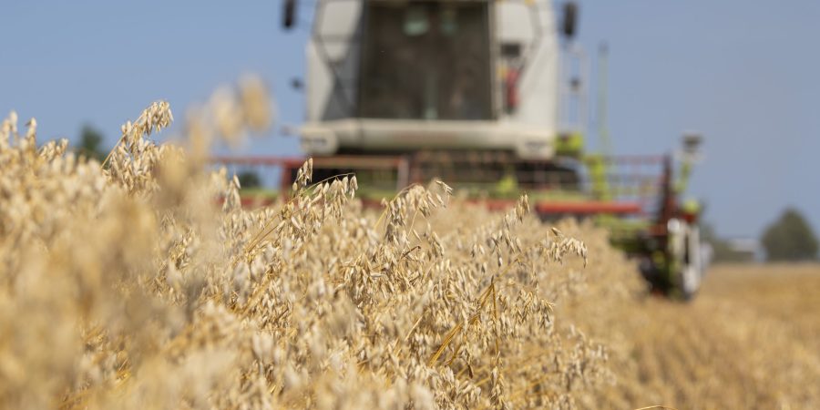 Witmonnikshuys-MPasveer-Vrijvan Rechten-005