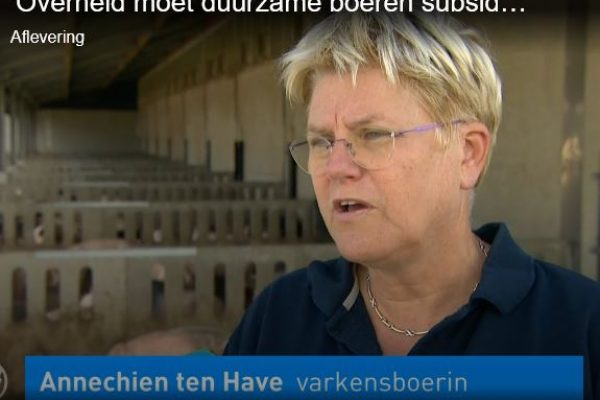 annechien annechien