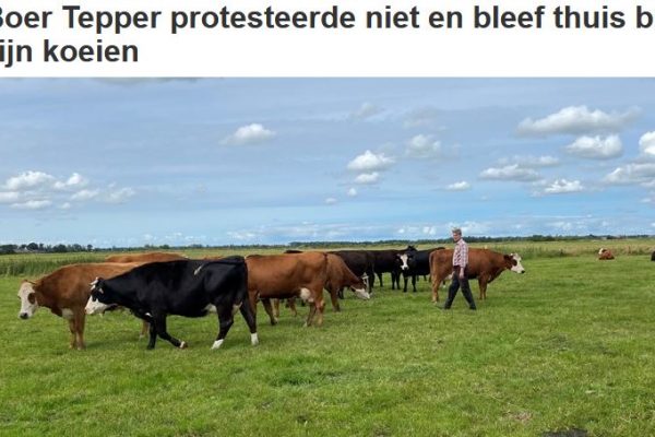 boer tepper boer tepper
