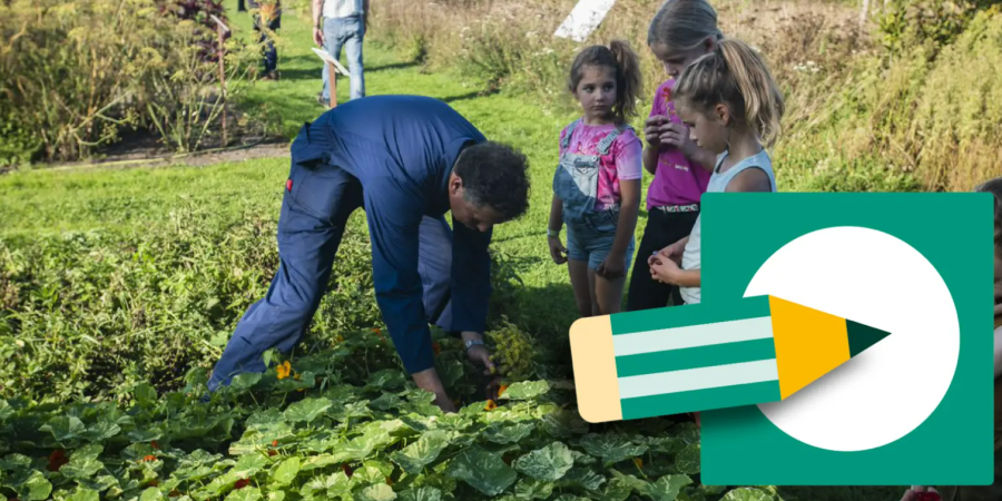 gemeenteraadsverkiezingen 26