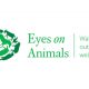 Eyes on Animals
