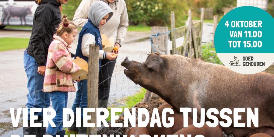 open dag buitenvarkenshouders 2026