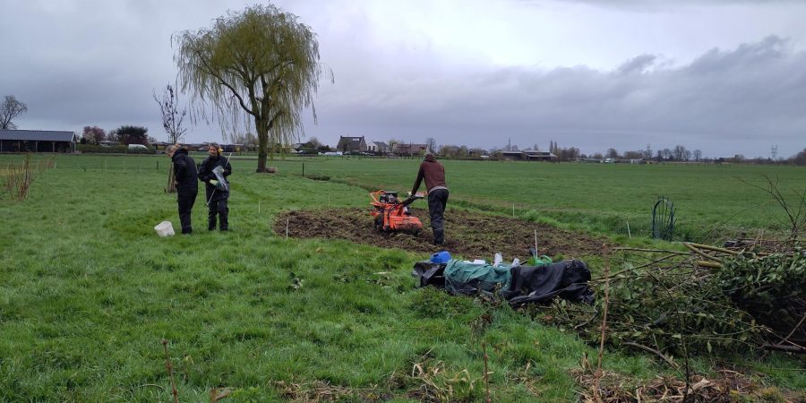 Aanplant proefveld in Weesp voor PFAS bodemonderzoek