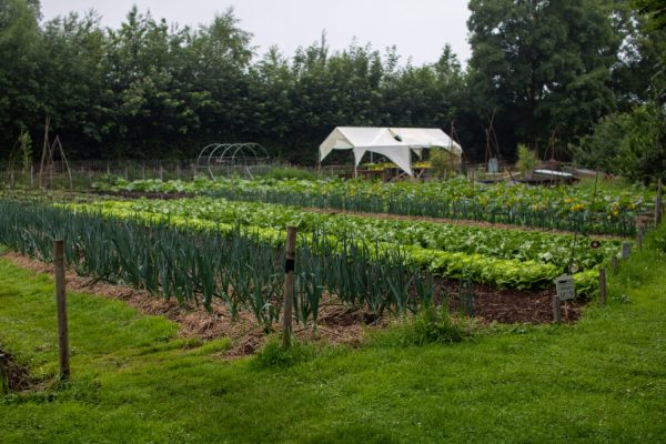 voedseltuin boxtel
