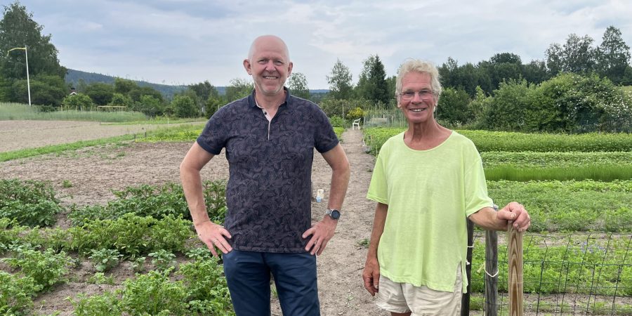 westerwoldse mous vergeten en bijzondere groenten oproep Henk en Ruurd
